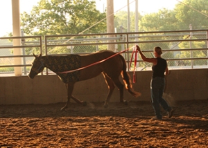 AQHA's equipment rules put the horse first. (Journal photo)
